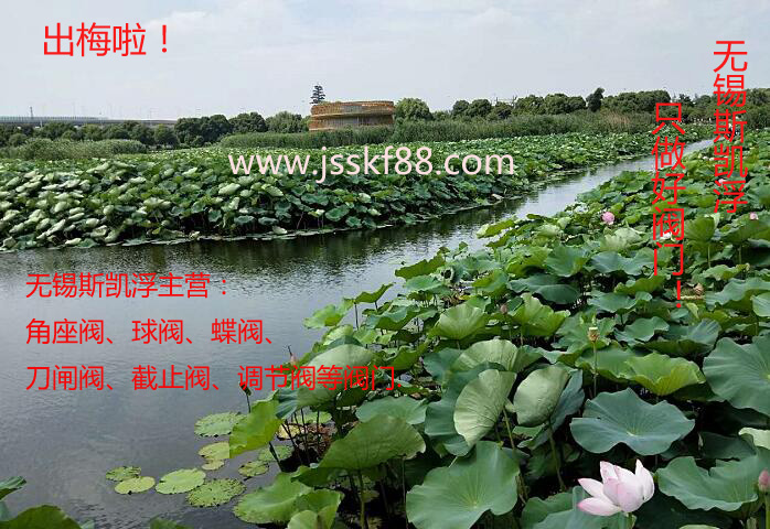 出梅啦 PG娱乐角座阀
