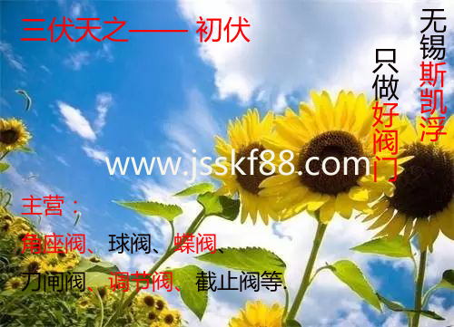 气动角座阀